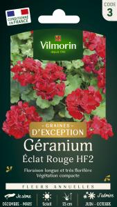Géranium Eclat Rouge HF2